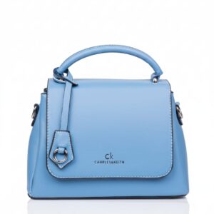 CAHRLES&KEITH BAG