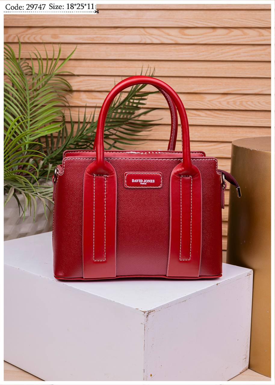 DAVID JONES TFG BAG 29747 - Image 9