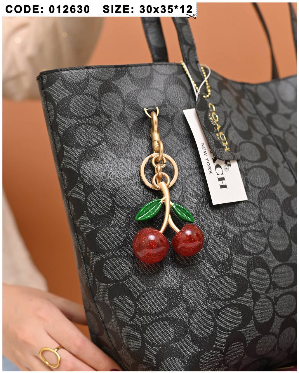 GUCCI TOTE FARTO BAG 012630 - Image 13