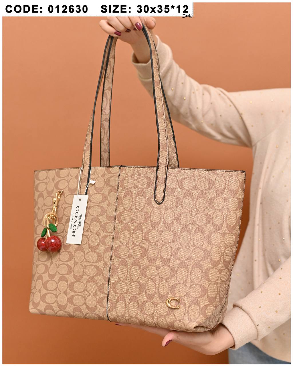 GUCCI TOTE FARTO BAG 012630 - Image 4