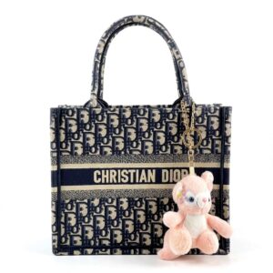DIOR HARCDI BAG