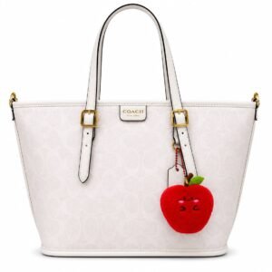 COACH TOTE BAG -ASL2929