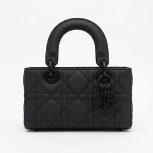 DIOR BAG -ASL-2933