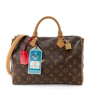 Louis Vuitton Monogram Speedy Soft Crafty 30